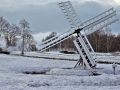 090-paaltjasker-winter-web-jpg